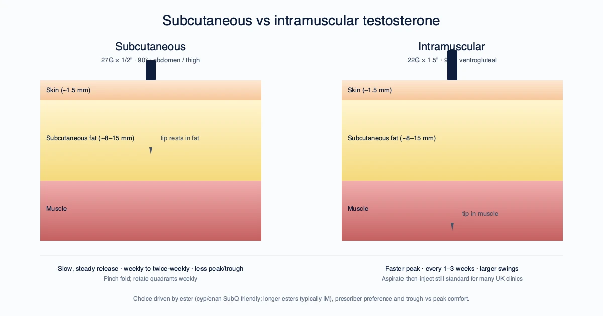 Subcutaneous vs Intramuscular Testosterone: What the UK Evidence Says