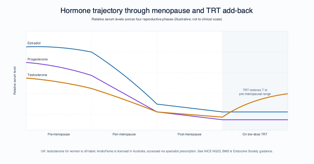 Testosterone for Menopausal Women in the UK: NICE, BMS and the Equipment Question